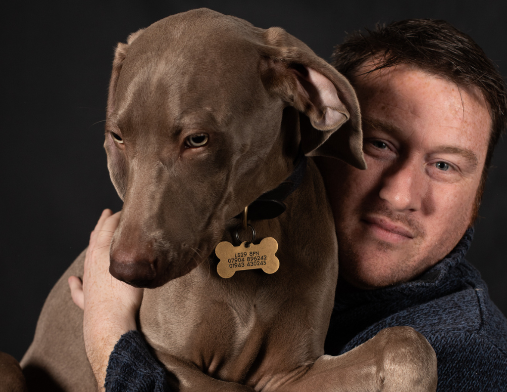 Weimaraner Cosmo and Chris